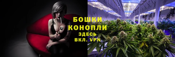 каннабис Богданович