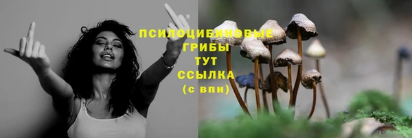 COCAINE Богородицк