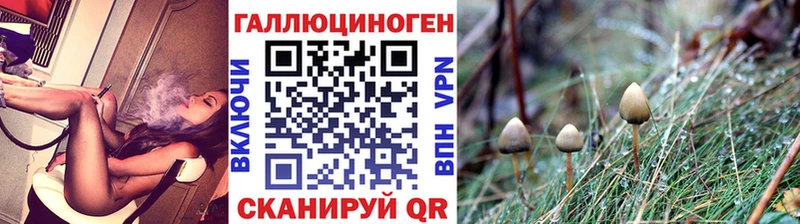 Псилоцибиновые грибы мухоморы  Купить где  Алупка 